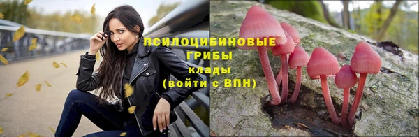 дурь Ахтубинск